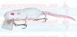 Spro BBZ1 Rat 50 White